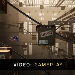 Darwin's Paradox! - Gameplay