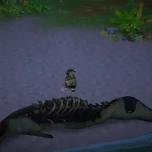 DAVE THE DIVER In the Jungle - Meeresskelett