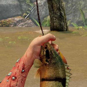 Day One Garrys Incident Angeln