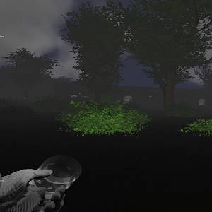 Deadly Forest Beta - Sträucher