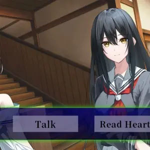 Dear Mirror Flower - Untersuchungswahl