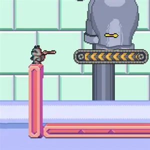 Dimensional Animals - Waschbär