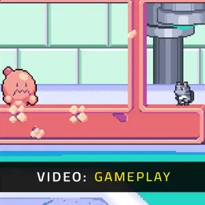 Dimensional Animals - Gameplay