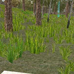 Hindernisrasen für das Finale