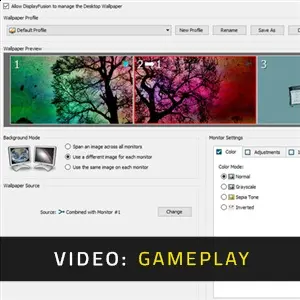 DisplayFusion - Gameplay