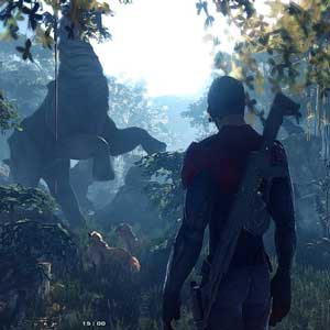 Divergence Online Schütze