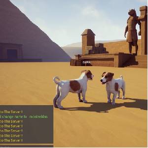 Dogs Club - JR Terrier