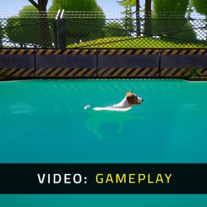 Dogs Club Gameplay Video