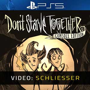 Don’t Starve Together PS5- Anhänger