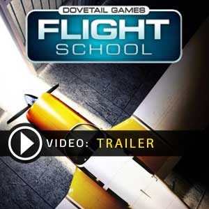 Dovetail Games Flight School Key Kaufen Preisvergleich