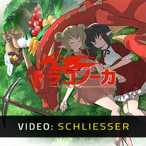 Drago Noka - Video-Schliesser