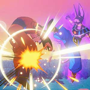 gegen Beerus