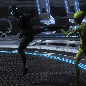 Dragon Fury - Fliegender Kick