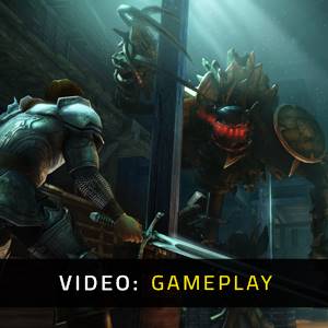 Drakensang The River of Time - Gameplay