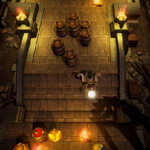 Dungellion - Fässer