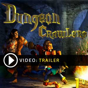 Dungeon Crawlers HD Key Kaufen Preisvergleich
