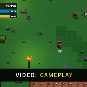 DunHero - Video Gameplay