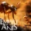 Schauen Sie sich den atemberaubenden UE5-Trailer von Empire of the Ants an