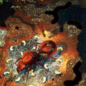 Empires of the Undergrowth Ameisenkönigin