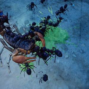 Empires of the Undergrowth Exploding Ants - Skorpion