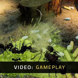 Empires of the Undergrowth Exploding Ants - Gameplay Video