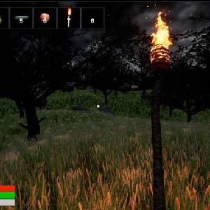 Endure or Perish - Fackel