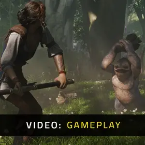 Fable 2027 - Gameplay