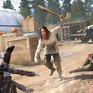 Far Cry 5 Xbox One Code Kaufen Preisvergleich