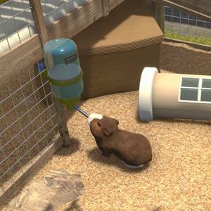 Farm Pets Bundle Hamster