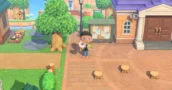Animal Crossing Patch 3.0.3 Behebt Katalog-Fehler und Update-Items