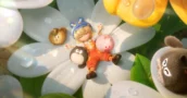Animula Nook Alpha: Anmeldung & Die kritische „Device Lock“-Regel