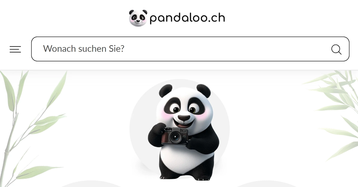 Pandaloo.ch Review: Can the Swiss Online Shop Deliver on Its 