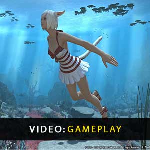 FINAL FANTASY 14 Online Gameplay-Video