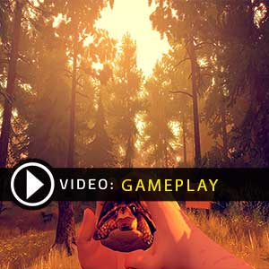 FireWatch Gameplay Vidéo