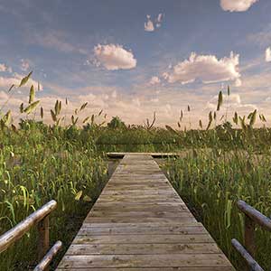 verschiedene klimatische Bedingungen