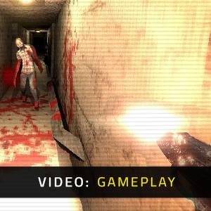 Flesh Everest – Gameplay