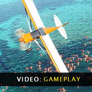 Microsoft Flight Simulator Trailer-Video