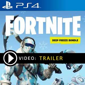 Fortnite Deep Freeze Bundle PS4 Digital Download und Box Edition