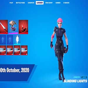 Fortnite Wildcat Bundle Nintendo Switch - Blendende Lichter