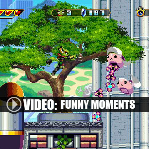 Freedom Planet Funny Moments