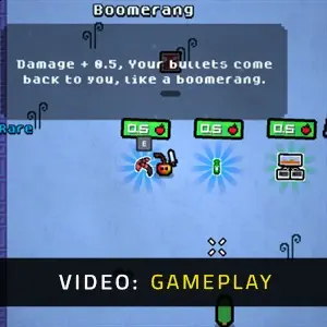 Fruity Rogue - Gameplay-Video