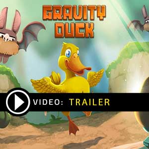 Buy Gravity Duck CD Key Compare Prices