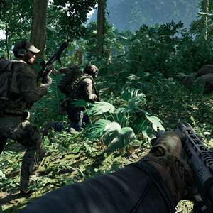 Gray Zone Warfare - Wald