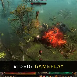 Grim Dawn - Video Gameplay