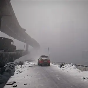 Hail to the Rainbow - Auto