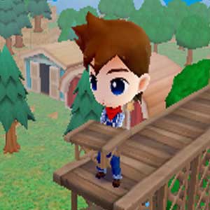 Harvest Moon The Lost Valley Nintendo 3DS Brücke