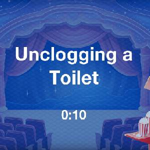 Heads Up Phones Down Edition - Toilette Entstopfen