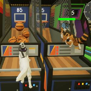Heist Kitty Cats Go a Stray - Basketball