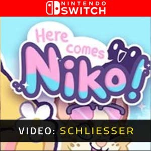 Here Comes Niko Switch