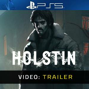 Holstin Playstation 5